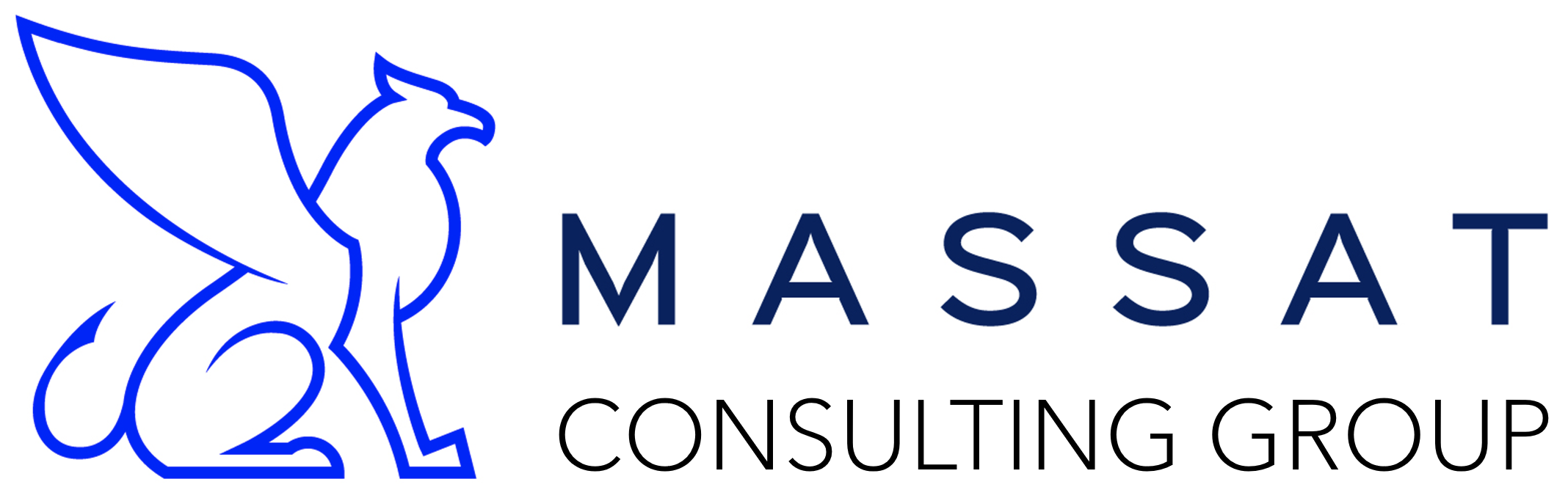Massat Consulting Group