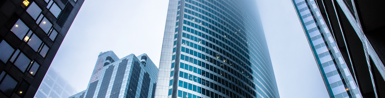 DEFI GEMINI Consulting